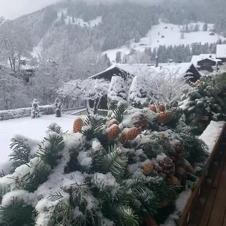 La Promenade Appartement Gstaad