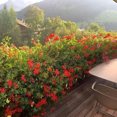 La Promenade * Gstaad